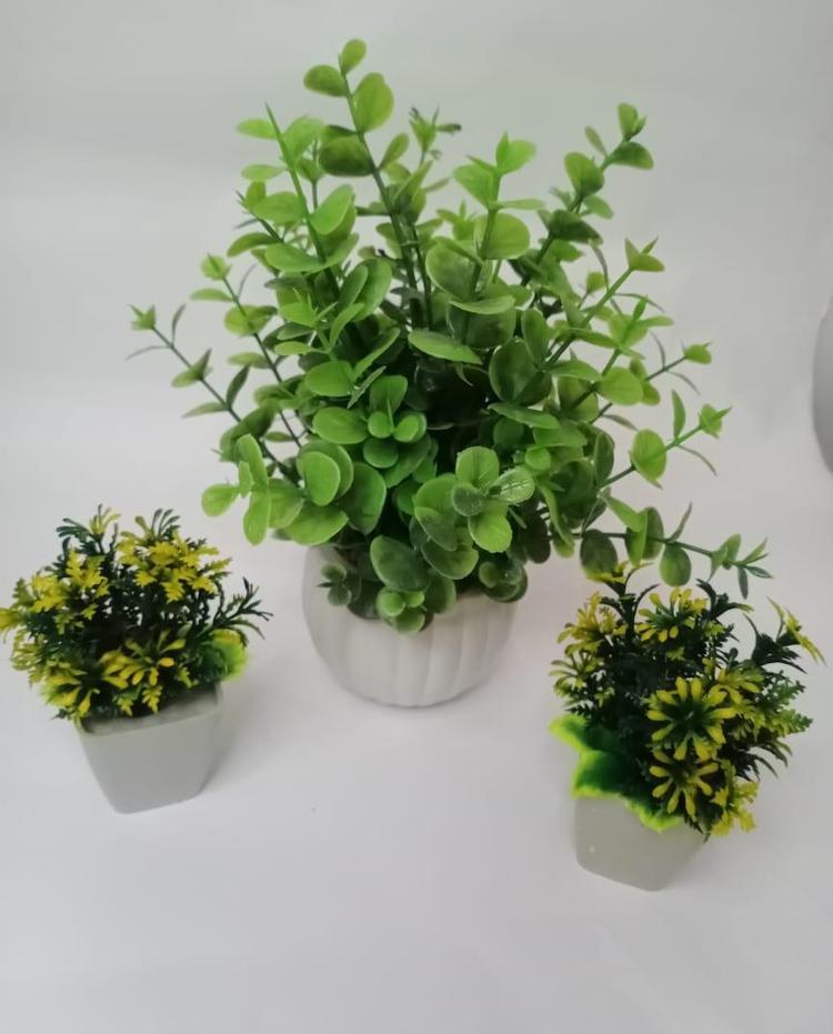 Synthetic Money Plant pots-Decor Art